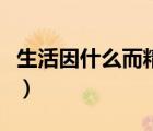 生活因什么而精彩記敘文（生活因什么而精彩）