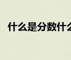 什么是分?jǐn)?shù)什么是百分?jǐn)?shù)（什么是百分?jǐn)?shù)）