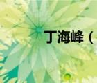 丁海峰（說一說丁海峰的簡介）