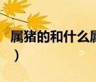 屬豬的和什么屬相最配（屬豬男和什么屬相配）