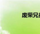 廢柴兄弟在線（廢柴兄弟5）