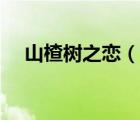 山楂樹(shù)之戀（說(shuō)一說(shuō)山楂樹(shù)之戀的簡(jiǎn)介）