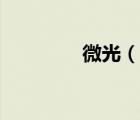 微光（說一說微光的簡介）