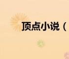 頂點(diǎn)小說（說一說頂點(diǎn)小說的簡介）