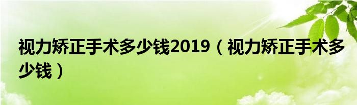 視力矯正手術(shù)多少錢(qián)2019（視力矯正手術(shù)多少錢(qián)）