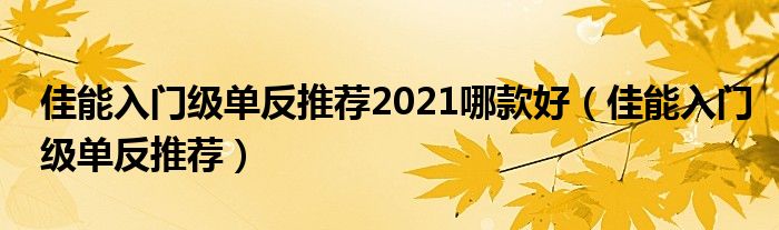 佳能入門級單反推薦2021哪款好（佳能入門級單反推薦）