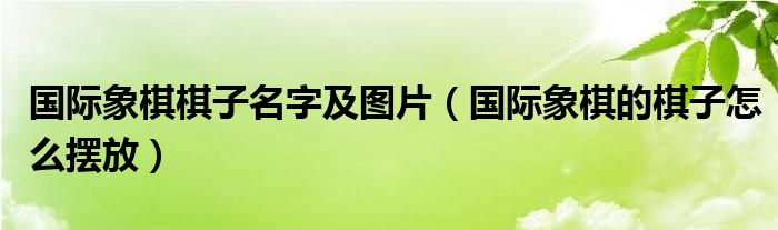 國際象棋棋子名字及圖片（國際象棋的棋子怎么擺放）