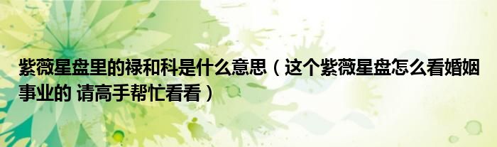 紫薇星盤里的祿和科是什么意思（這個(gè)紫薇星盤怎么看婚姻事業(yè)的 請(qǐng)高手幫忙看看）