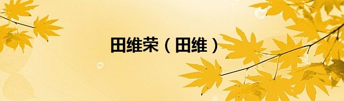 田維榮（田維）