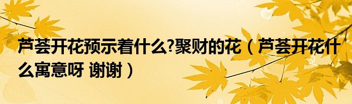蘆薈開花預(yù)示著什么?聚財?shù)幕ǎㄌJ薈開花什么寓意呀 謝謝）