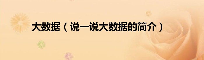 大數(shù)據（說一說大數(shù)據的簡介）