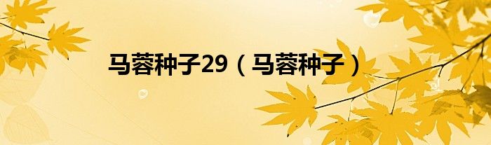 馬蓉種子29（馬蓉種子）