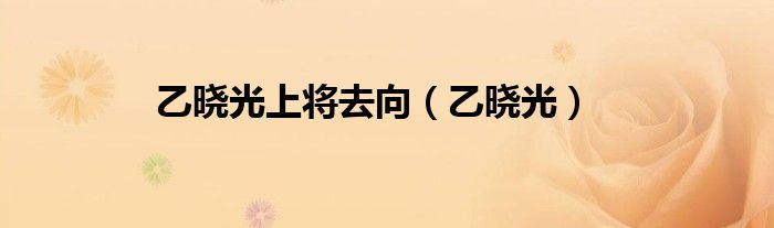 乙曉光上將去向（乙曉光）