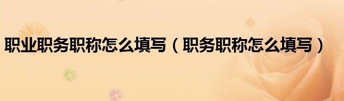 職業(yè)職務(wù)職稱怎么填寫(xiě)（職務(wù)職稱怎么填寫(xiě)）