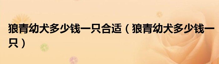 狼青幼犬多少錢一只合適（狼青幼犬多少錢一只）