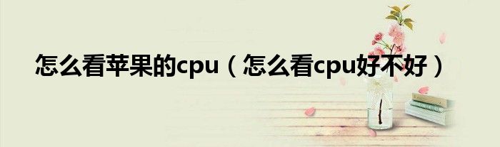 怎么看蘋果的cpu（怎么看cpu好不好）