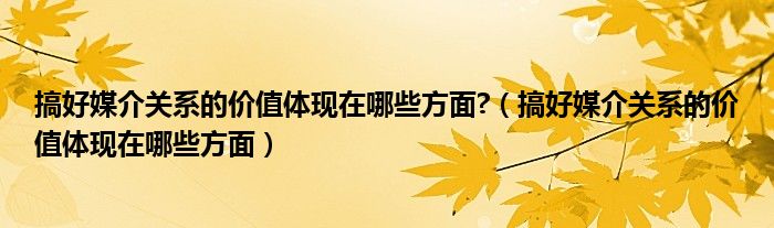 搞好媒介關(guān)系的價(jià)值體現(xiàn)在哪些方面?（搞好媒介關(guān)系的價(jià)值體現(xiàn)在哪些方面）