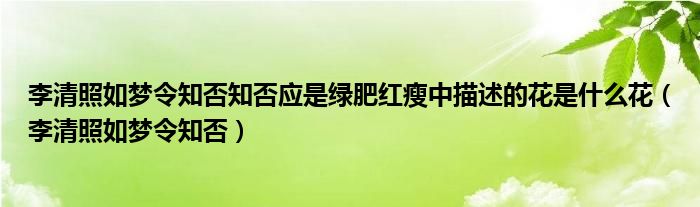 李清照如夢令知否知否應是綠肥紅瘦中描述的花是什么花（李清照如夢令知否）