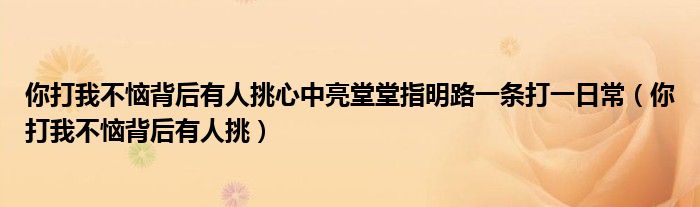 你打我不惱背后有人挑心中亮堂堂指明路一條打一日常（你打我不惱背后有人挑）
