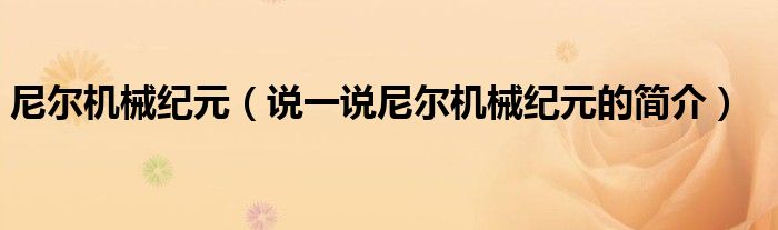尼爾機(jī)械紀(jì)元（說一說尼爾機(jī)械紀(jì)元的簡介）