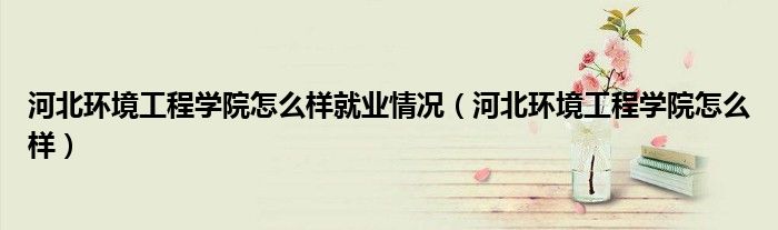 河北環(huán)境工程學(xué)院怎么樣就業(yè)情況（河北環(huán)境工程學(xué)院怎么樣）