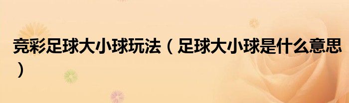 競彩足球大小球玩法（足球大小球是什么意思）