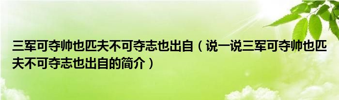 三軍可奪帥也匹夫不可奪志也出自（說一說三軍可奪帥也匹夫不可奪志也出自的簡介）