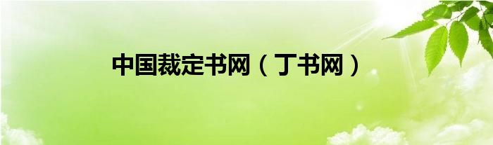中國(guó)裁定書網(wǎng)（丁書網(wǎng)）