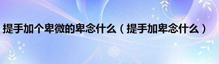 提手加個卑微的卑念什么（提手加卑念什么）