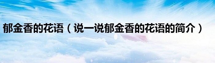 郁金香的花語(yǔ)（說一說郁金香的花語(yǔ)的簡(jiǎn)介）