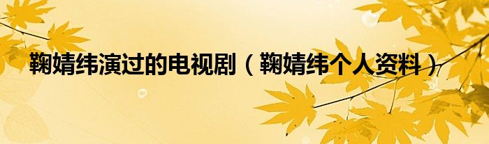 鞠婧緯演過的電視?。ň湘壕晜€(gè)人資料）