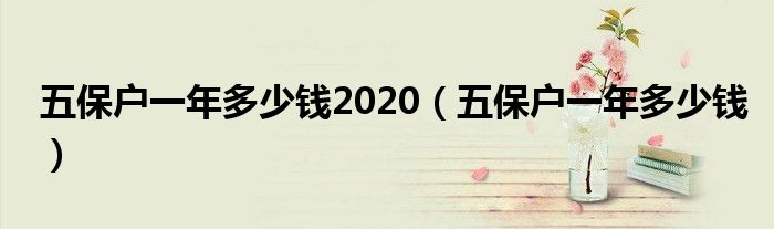 五保戶一年多少錢2020（五保戶一年多少錢）