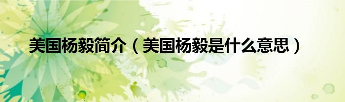 美國(guó)楊毅簡(jiǎn)介（美國(guó)楊毅是什么意思）