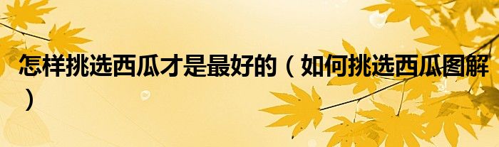 怎樣挑選西瓜才是最好的（如何挑選西瓜圖解）
