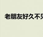老朋友好久不見(jiàn)的成語(yǔ)（老朋友好久不見(jiàn)）