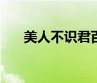 美人不識君百度云網(wǎng)盤（美人不識君）