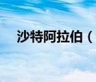 沙特阿拉伯（說(shuō)一說(shuō)沙特阿拉伯的簡(jiǎn)介）