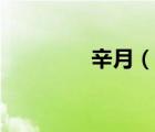 辛月（說一說辛月的簡介）