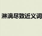 淋漓盡致近義詞是什么（淋漓盡致的近義詞）