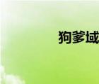 狗爹域名轉(zhuǎn)入（狗爹域名）