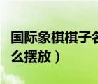 國際象棋棋子名字及圖片（國際象棋的棋子怎么擺放）