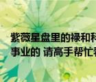 紫薇星盤里的祿和科是什么意思（這個(gè)紫薇星盤怎么看婚姻事業(yè)的 請(qǐng)高手幫忙看看）