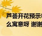 蘆薈開花預示著什么?聚財?shù)幕ǎㄌJ薈開花什么寓意呀 謝謝）