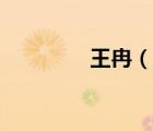 王冉（說一說王冉的簡介）