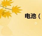 電池（說一說電池的簡介）
