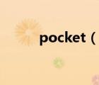 pocket（說一說pocket的簡介）