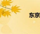 東京島小說（東京島）