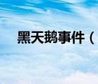 黑天鵝事件（說(shuō)一說(shuō)黑天鵝事件的簡(jiǎn)介）