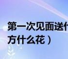 第一次見面送什么花送幾朵（第一次見面送對方什么花）