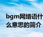 bgm網(wǎng)絡語什么意思（說一說bgm網(wǎng)絡語什么意思的簡介）